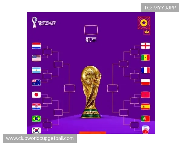 2026年世界杯已出线国家队完整名单及未来比赛展望指南